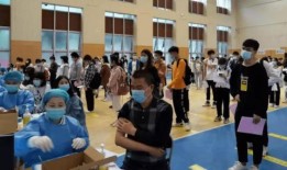 柏妮思技能爆料最新消息,神秘力量觉醒，战斗格局再掀风云