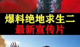 绝地求生二手游最新爆料,价格波动与热门游戏盘点