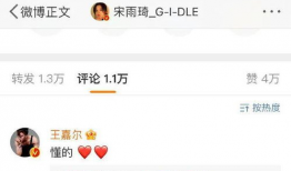 台湾狗仔最新爆料视频,最新爆料视频内容大起底