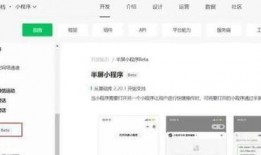 小程序最新独门爆料,颠覆传统，引领未来创新潮流