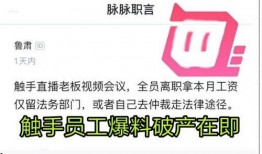 触手员工最新爆料,揭秘游戏行业幕后真相