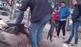 佛山罗村爆料最新消息今天,最新爆料揭示惊人真相！”