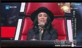 最新爆料那英过往视频,揭秘歌手背后的故事与争议