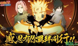 火影最新青水爆料视频,揭秘忍者世界新篇章