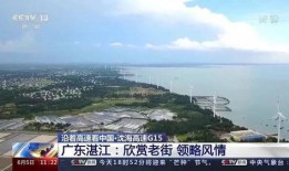 湛江今天新闻最新爆料,重大事件引发社会关注